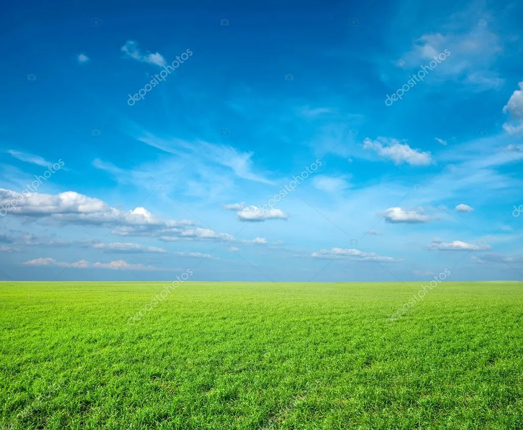 campo de pasto verde fresco — Foto stock © DmitryRukhlenko # campo de pasto verde fresco — Foto stock © DmitryRukhlenko #