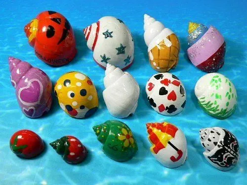 los cangrejos ermitaños pintado de conchas--Identificación del ... los cangrejos ermitaños pintado de conchas--Identificación del ...