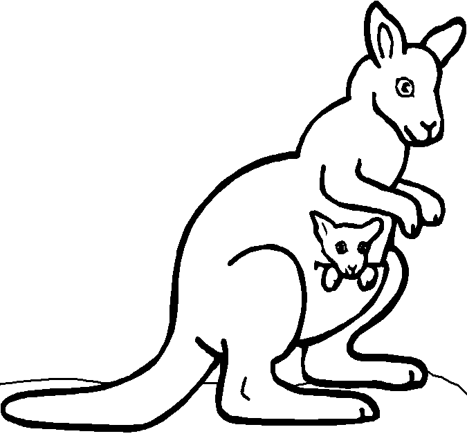Dibujo de canguros para niños - Imagui