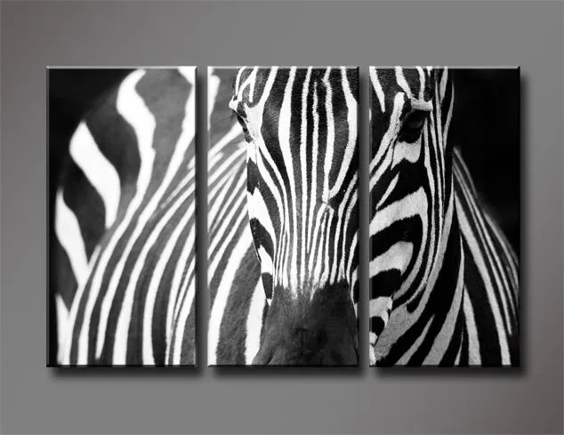 Canvas Zebra Picture de los clientes - Compras en línea Canvas ...