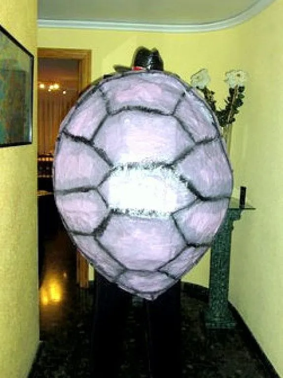 Imagenes de disfraz de tortuga hecho en foami - Imagui