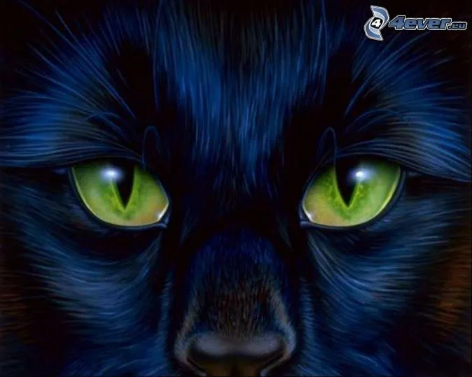 Cara de gato negro
