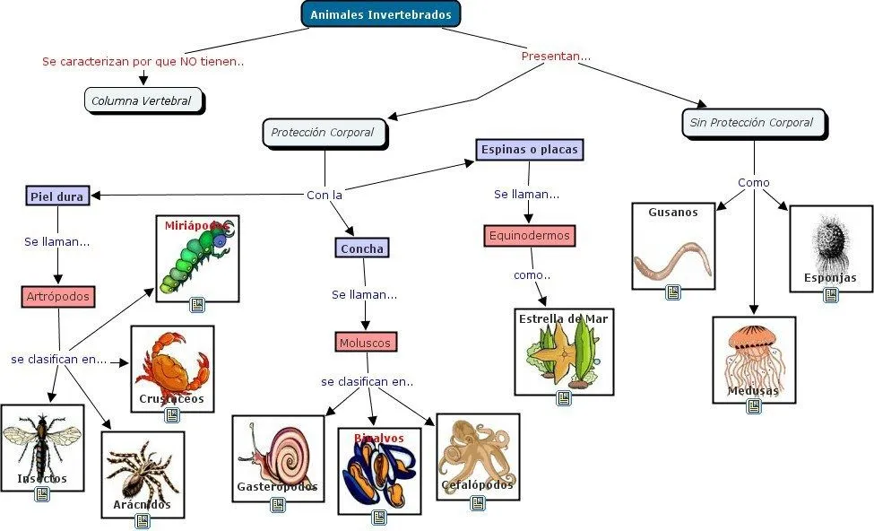Características de los animales vertebrados e invertebrados (mapas ... Características de los animales vertebrados e invertebrados (mapas ...