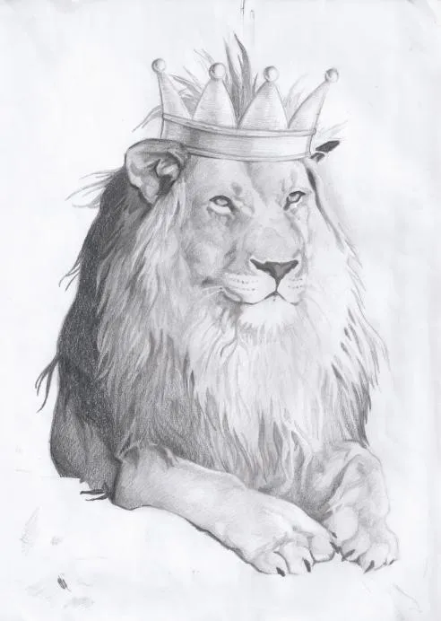 Dibujos de leones rugiendo a lapiz - Imagui