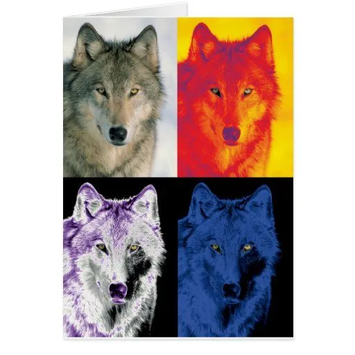 4 caras del lobo tarjetas | Zazzle
