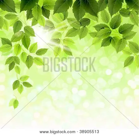 Caratulas de hojas - Imagui