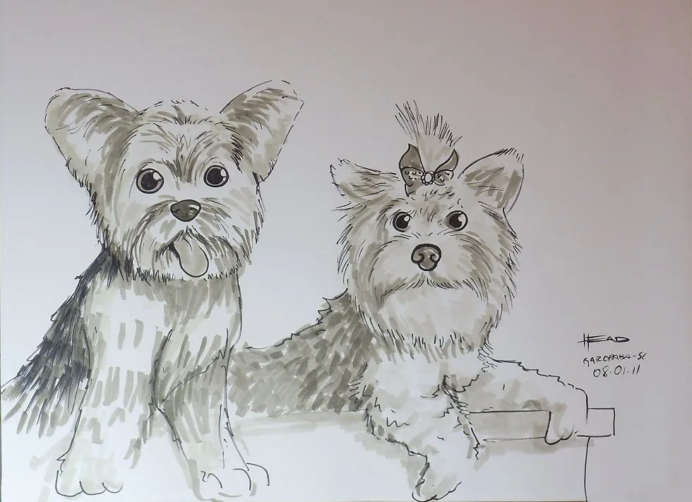 Caricatura ao vivo do casal simpatico de cachorrinhos