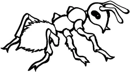 Caricaturas de hormigas para colorear - Imagui