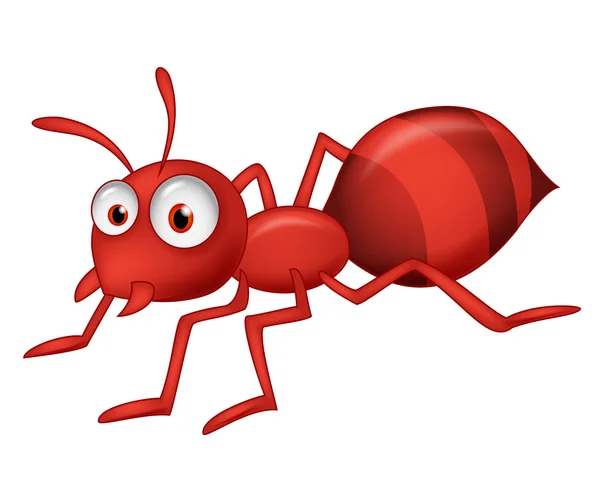 Caricatura lindo hormiga — Vector stock © tigatelu #27371613