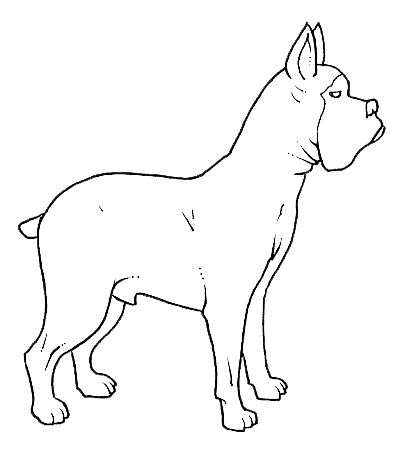 De perros pitbull para dibujar - Imagui