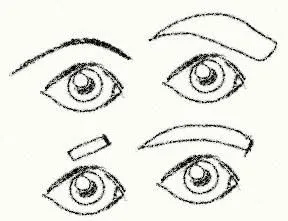 Los ojos y las orejas también tienen diferentes formas y tamaños