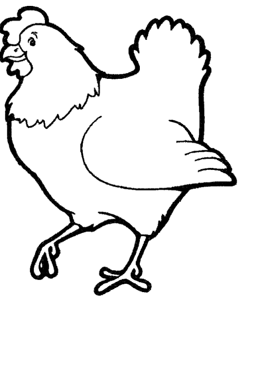 Dibujos para colorear de Gallos, Gallinas, Gallus gallus ...