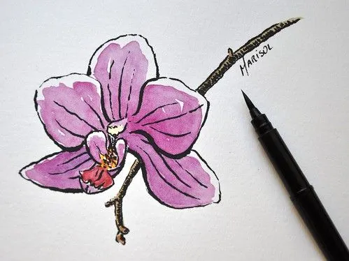 Orquidea dibujadas - Imagui