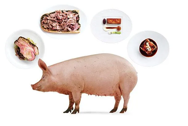La carne de cerdo y sus despojos abarcan la mayoria de las ...