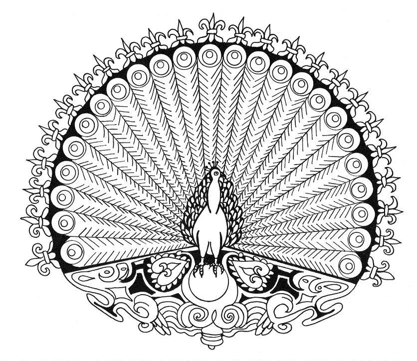 Carne de Diván.: MANDALA PARA PINTAR. El pavo real. Carne de Diván.: MANDALA PARA PINTAR. El pavo real.