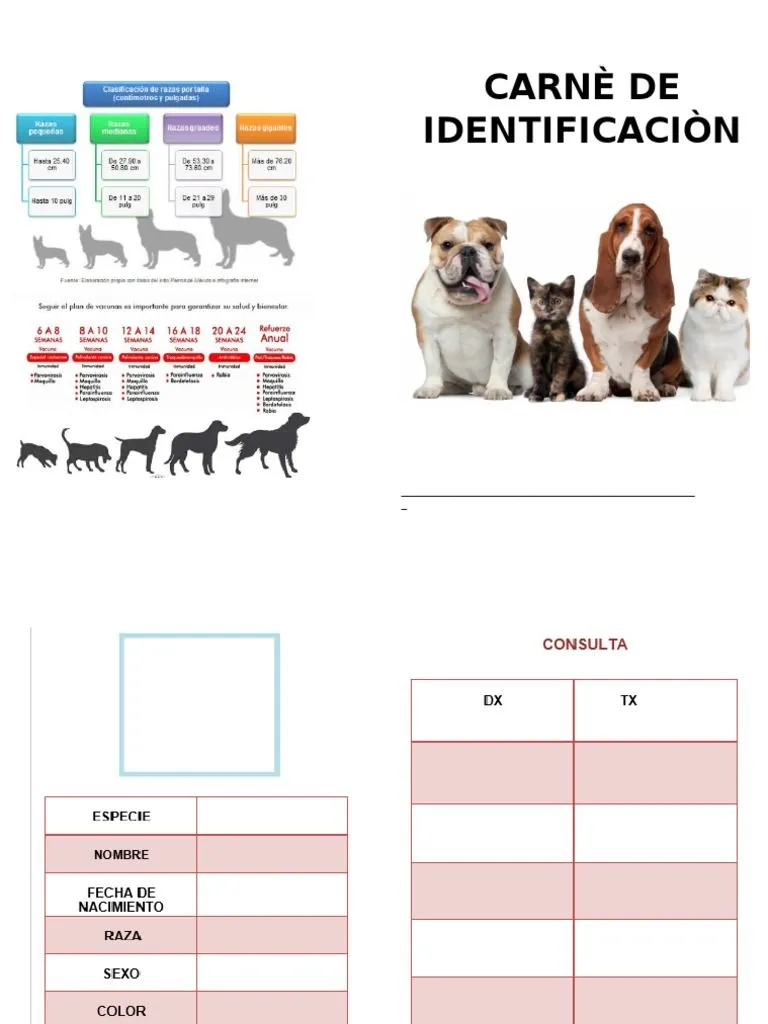 Carnè de Vacunaciòncartilla de Vacunacion para Perros | PDF