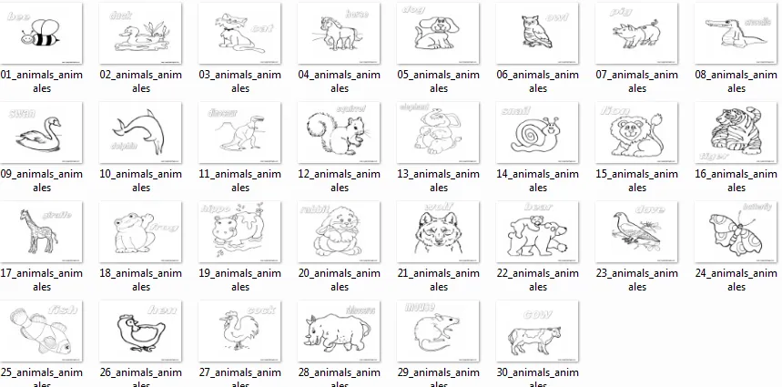 Nombres de animales en inglés con imagenes - Imagui