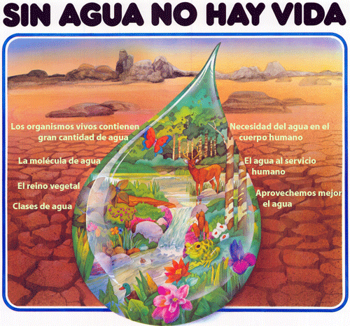 Cartel sobre la contaminacion del agua - Imagui