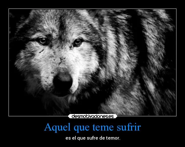 Fotos de lobos con frases - Imagui