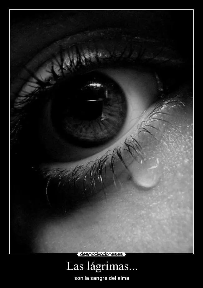 Carteles de Lagrimas Pag. 11 | Desmotivaciones Carteles de Lagrimas Pag. 11 | Desmotivaciones