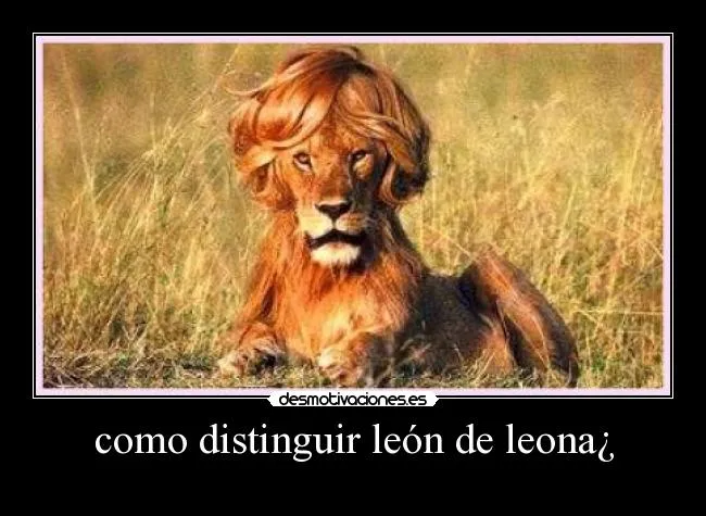Carteles de Leona Pag. 9 | Desmotivaciones Carteles de Leona Pag. 9 | Desmotivaciones
