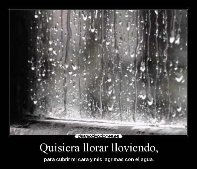 Carteles de Lloviendo Pag. 6 | Desmotivaciones