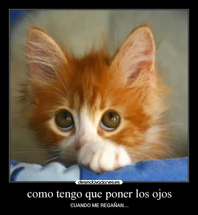 Carteles de Ojitos Pag. 13 | Desmotivaciones Carteles de Ojitos Pag. 13 | Desmotivaciones