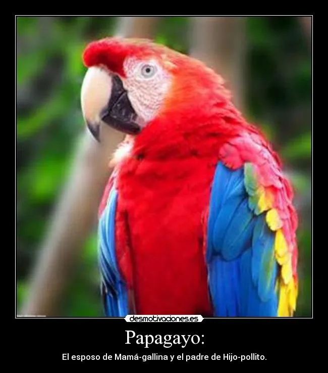 Carteles de Papagayo | Desmotivaciones