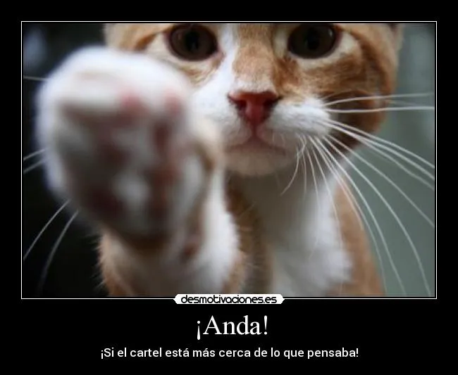 Carteles de Patita Pag. 2 | Desmotivaciones Carteles de Patita Pag. 2 | Desmotivaciones