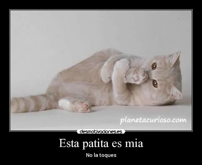 Carteles de Patita Pag. 4 | Desmotivaciones Carteles de Patita Pag. 4 | Desmotivaciones