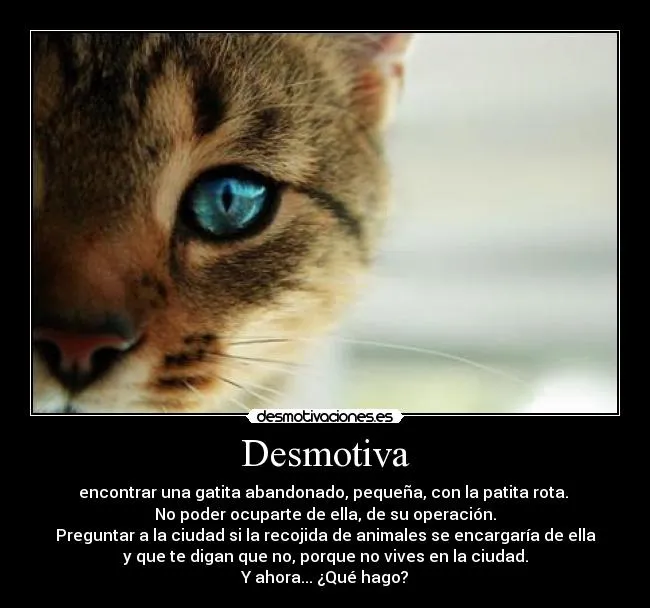 Carteles de Patita Pag. 4 | Desmotivaciones Carteles de Patita Pag. 4 | Desmotivaciones