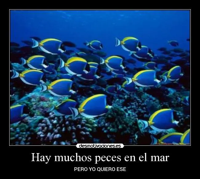 Hay muchos peces en el mar | Desmotivaciones