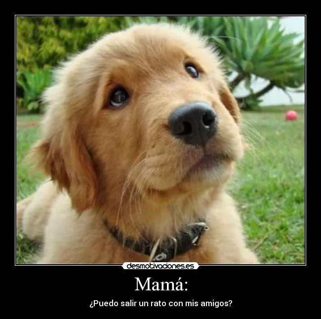 Carteles de Permiso Pag. 10 | Desmotivaciones Carteles de Permiso Pag. 10 | Desmotivaciones