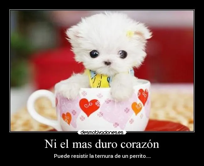 Carteles de Perrito Pag. 84 | Desmotivaciones Carteles de Perrito Pag. 84 | Desmotivaciones