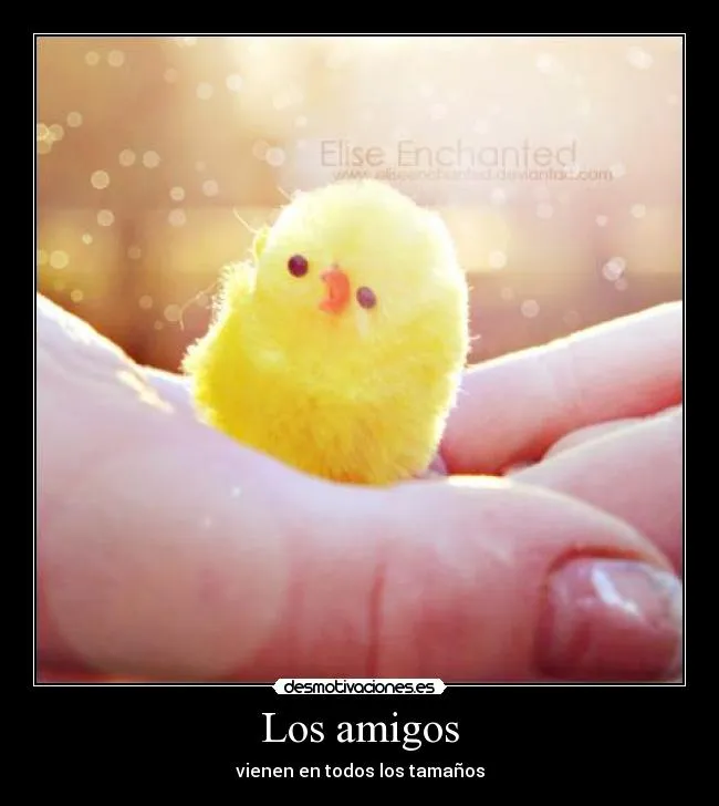 Carteles de Pollito Pag. 27 | Desmotivaciones Carteles de Pollito Pag. 27 | Desmotivaciones