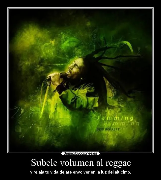 Subele volumen al reggae | Desmotivaciones