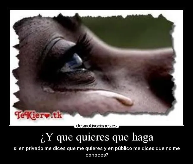 Carteles de Traicionero Pag. 3 | Desmotivaciones Carteles de Traicionero Pag. 3 | Desmotivaciones