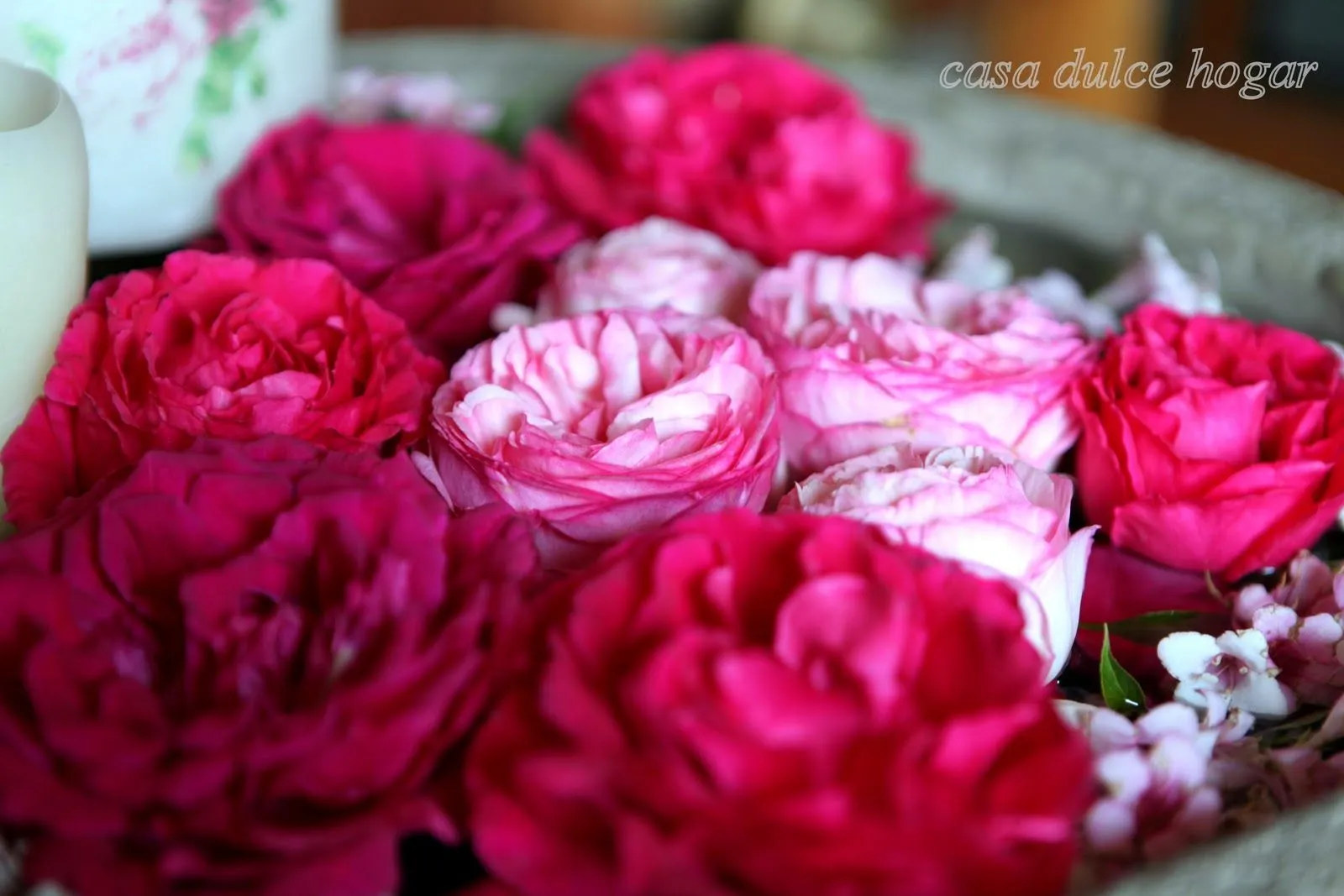 casa dulce hogar: Rosas y algo de mi familia casa dulce hogar: Rosas y algo de mi familia