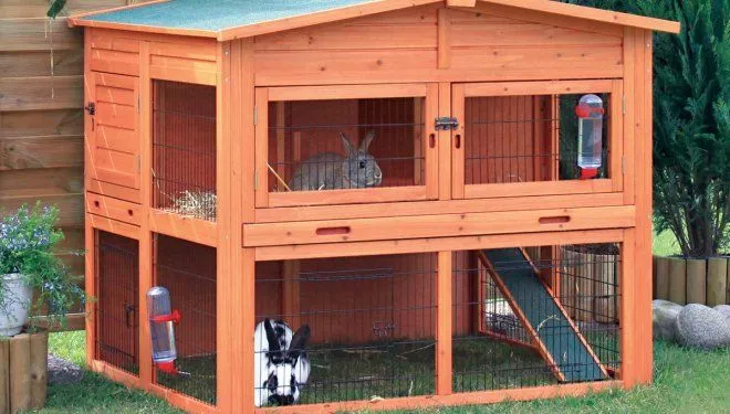 Elegir y preparar la jaula para el conejo