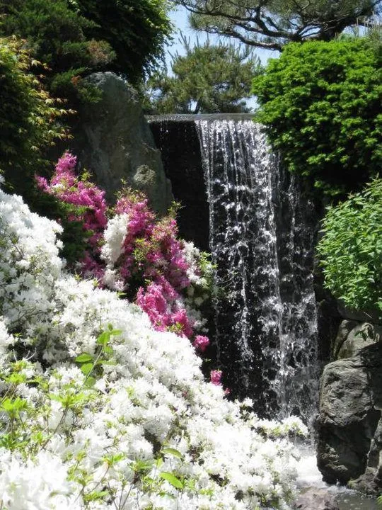 Fotografias de flores y cascadas - Fotografias y fotos para imprimir Fotografias de flores y cascadas - Fotografias y fotos para imprimir