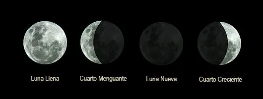 Imagenes de las 4 fases de la luna y sus nombres - Imagui