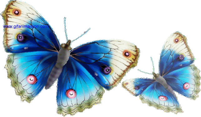 Imagenes gif en movimiento de mariposas - Imagui