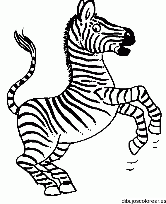Cebra o zebra para pintar - Imagui