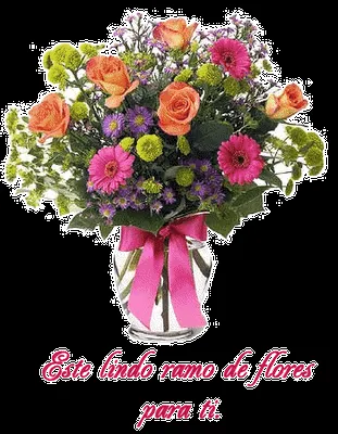 ... celebrar que el próximo día 8 es el Día Internacional de la mujer ... celebrar que el próximo día 8 es el Día Internacional de la mujer
