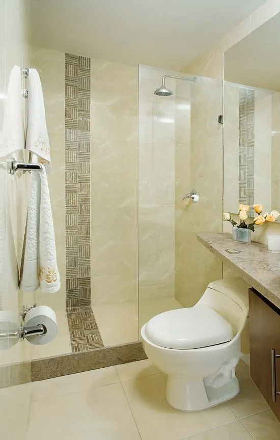 Cenefa para baño, vertical en la regadera | My next Loft | Pinterest