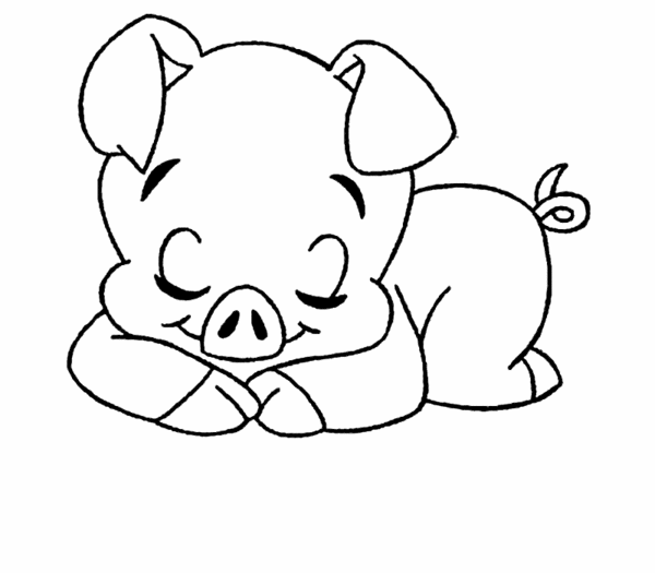 Cerdos bebés para colorear - Imagui