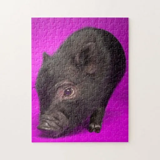 Cerdo negro del bebé puzzle con fotos | Zazzle