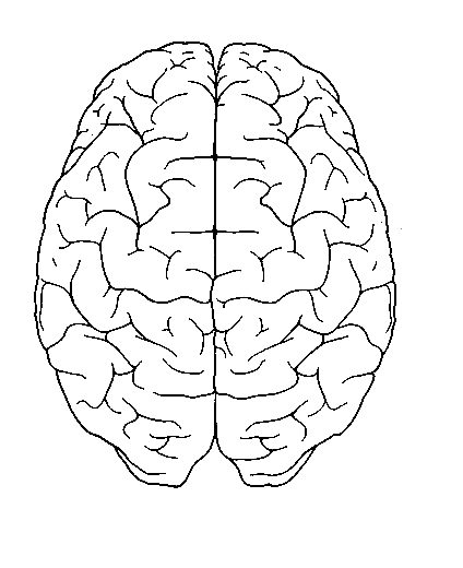 Dibujos para pintar sobre el cerebro - Imagui