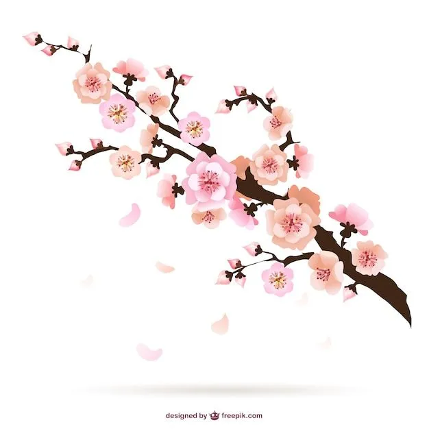 Ilustración de flores del cerezo | Descargar Vectores gratis