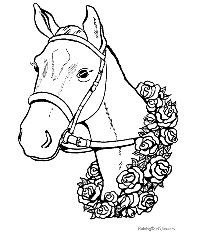 La Chachipedia: Dibujos de caballos para colorear.